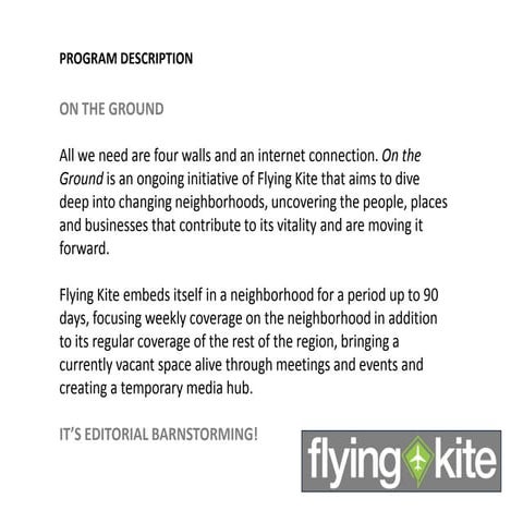 Flying Kite_program details