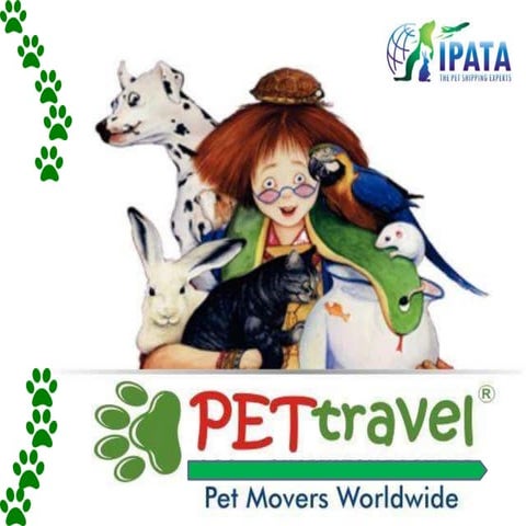 pet travel