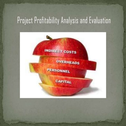 Project Profitability Analysis and Evaluation