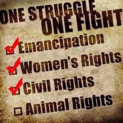 Animal Rights | PPT