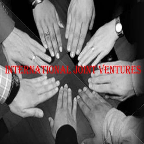 International joint ventures 