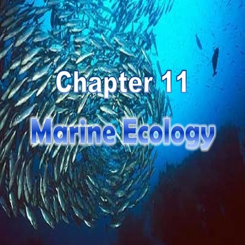 Marine Ecology (Script)