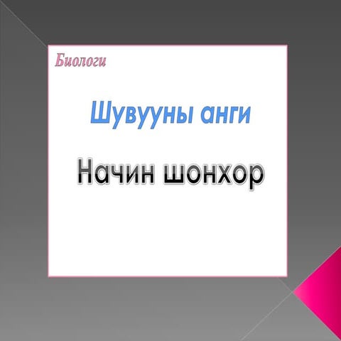 Шувууны анги /Начин шонхор/   Шувууны анги /Бүргэд/
