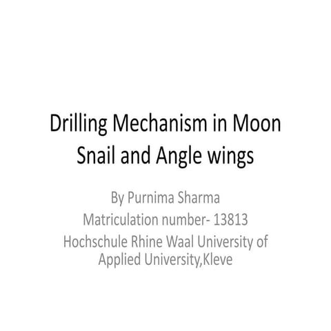 Drilling Mechanism in Moon Snail and Angle wings 