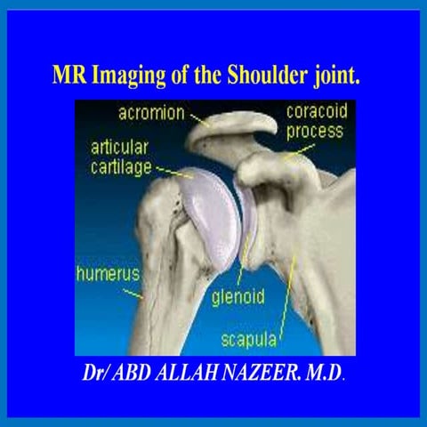 Presentation1.pptx. shoulder joint.
