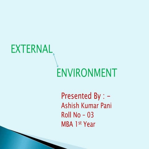 EXTERNAL ENVIRONMENT
