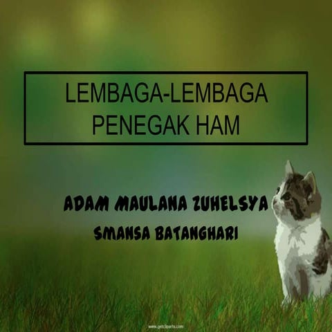 LEMBAGA LEMBAGA PENEGAK HAM