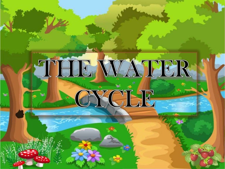 Grade 2 Science : The Water Cycle