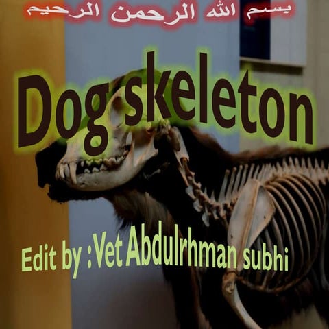 short notes in dog skeleton 