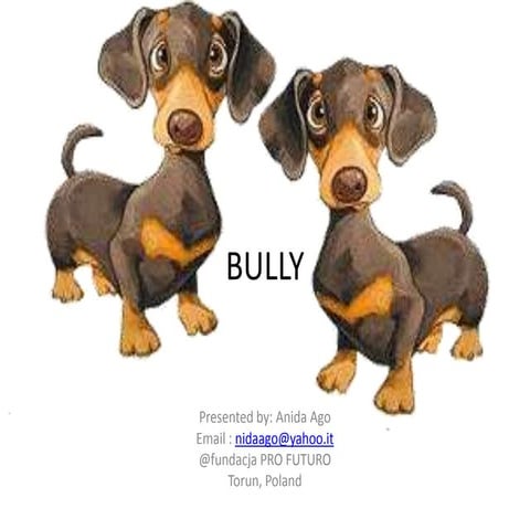 BULLY, presentation for preeschooler kids.