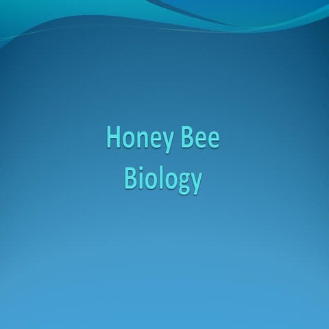 Honey Bee Biology by Madam Ayesha Department of Zoology University of Peshawar Pakistan
