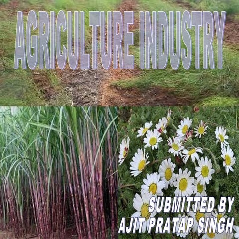 AGRICULTURE INDUSTRY | PPT