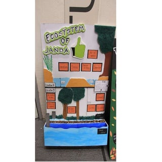 ENBE PROJECT 1 INFOGRAPHIC POP