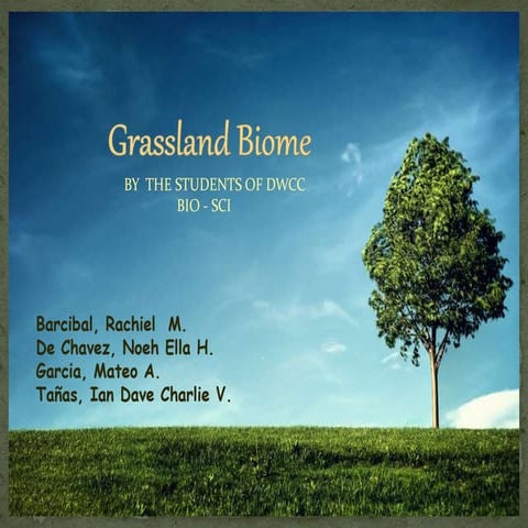 Grassland Biome