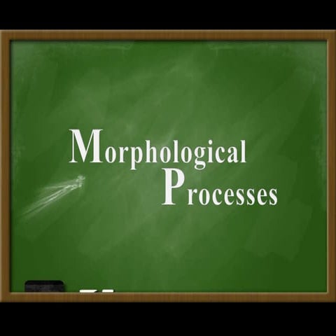 Morphological Processes