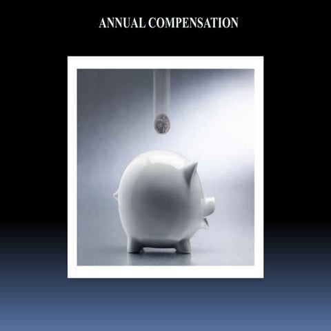 Annual Compensation and Factors