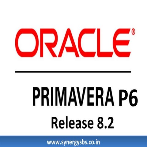 Oracle Primavera P6 Enterprise Project - Synergy