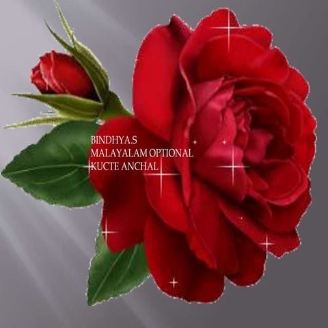 Presentation - Bindhya