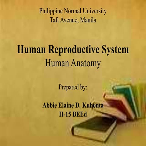 Human Reproductive System