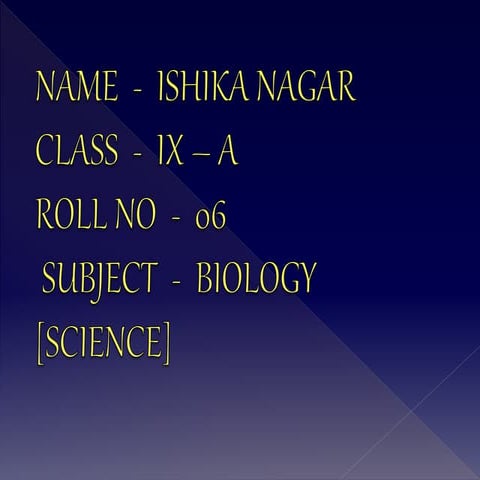 Diversity In Living Organisms