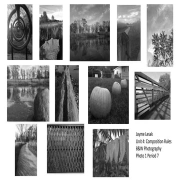 Susan Kulasik Unit 2 Elements of Design | PPTX