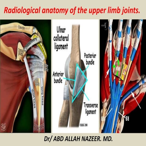 Presentation1.pptx, radiological anatomy of the upper limb joint.