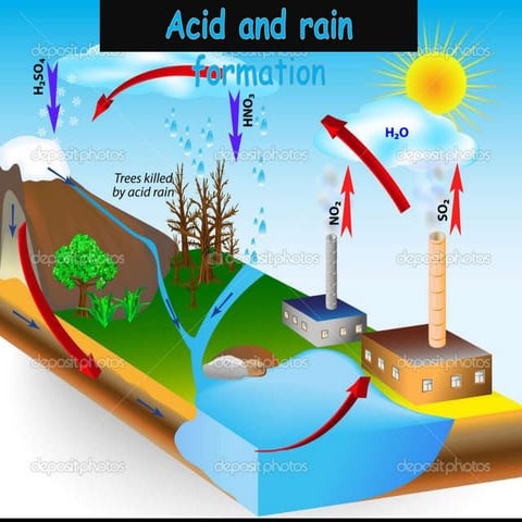 ACID AND RAIN... :D