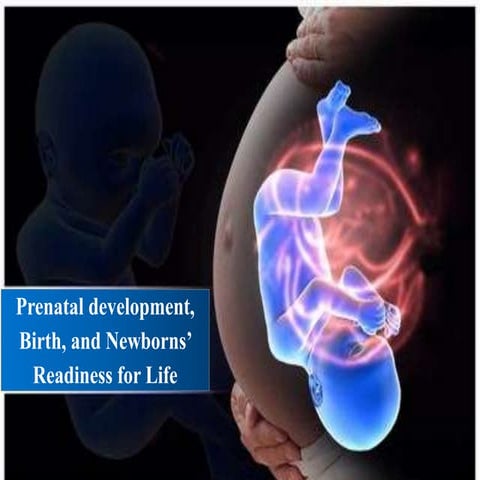 Prenatal Development, Birth, and Newborns’ Readiness for Life