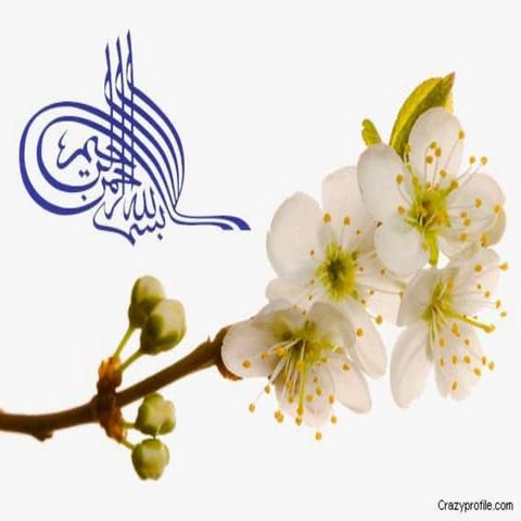 revocation of offer by aqib rehman