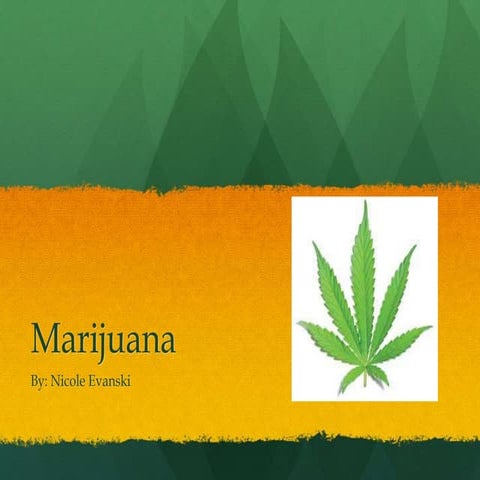 Marijuana 2015