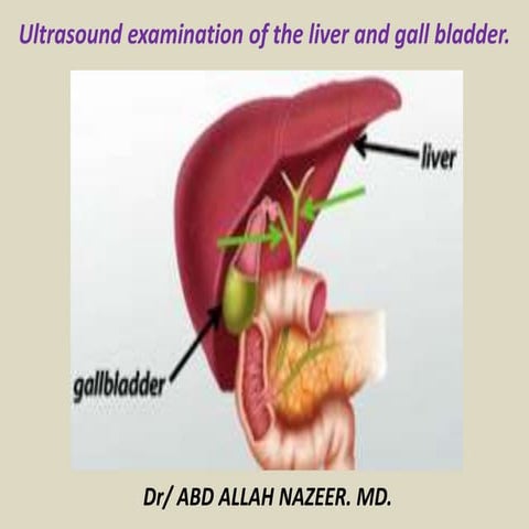 Presentation1.pptx, ultrasound examination of the liver and gall bladder.