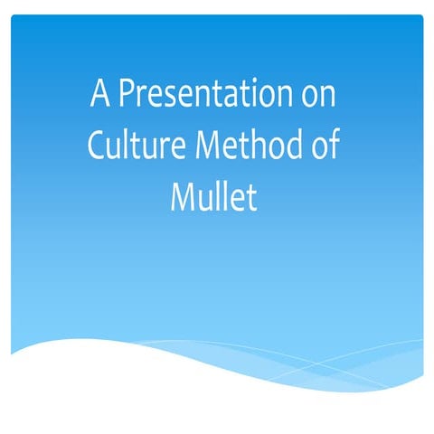 culture  method of mullet ( Mugil cephalus )