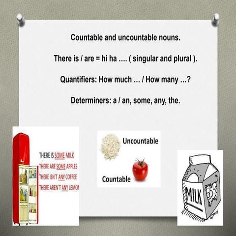 Quantifiers: English Language | PDF