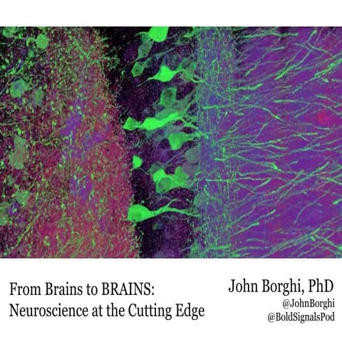 From Brains to BRAINs: Neuroscience at the Cutting Edge