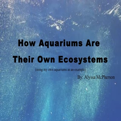 Aquariums: How they are their own ecosystems 