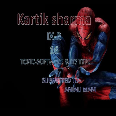 software and its type