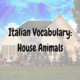 Italian Vocabulary Words: House Ani...