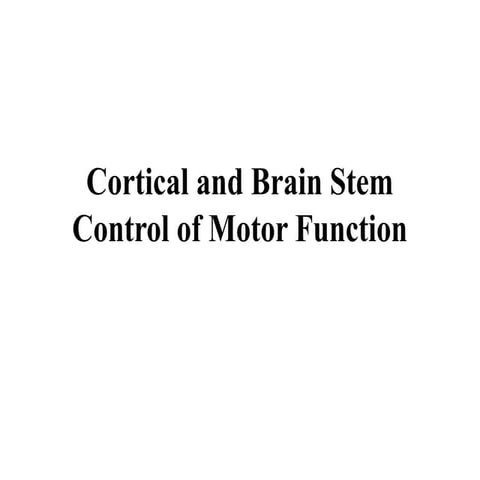 neurophysiology II. a concise review of brain and spinal cord