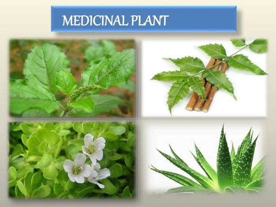 Medicinal plants of_india | PPT