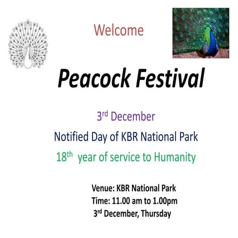 Peacock Festival