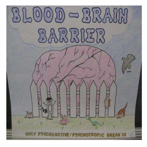 Blood brain barrier
