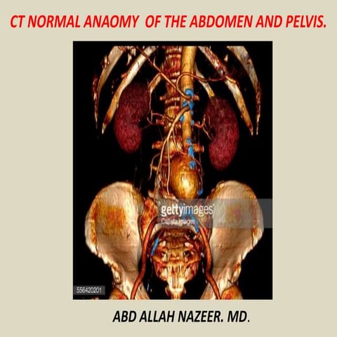 Presentation1.pptx, ct normal anatomy of the abdomen and pelvis.