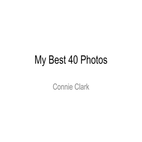 My Best 40 Photos