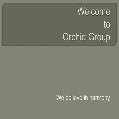 orchid group by mazed