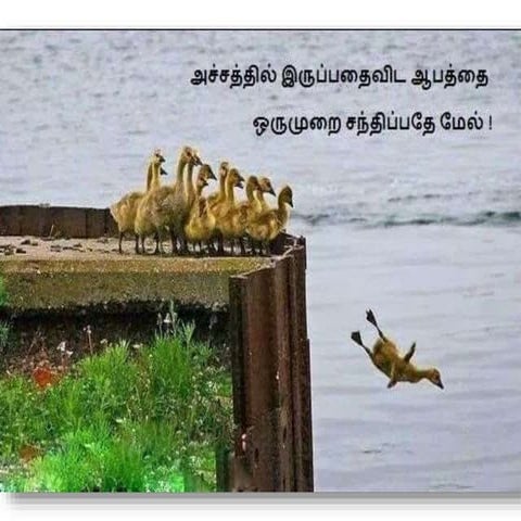 difference between an Intel Core i3, i5 and i7