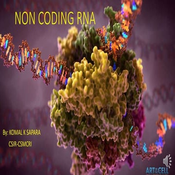 non coding RNA