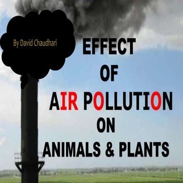 Air Pollution Effect on Animals & Plants