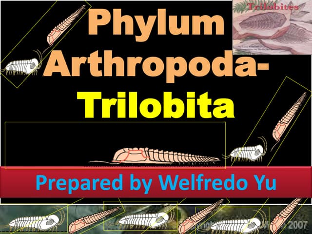PHYLUM ARTHROPODA BY YU,JR. WELFREDO L.