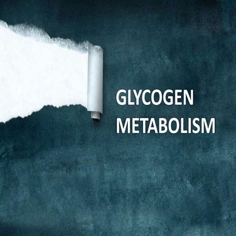 Glycogen Metabolism