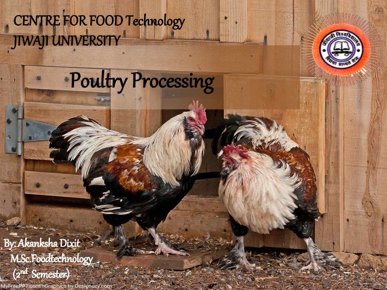 poultry-processing